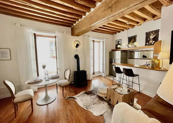 Grand Cru, Au Centre Medieval De Apartment